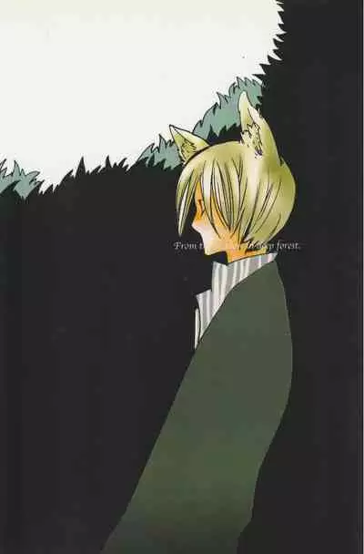 深い森の影から