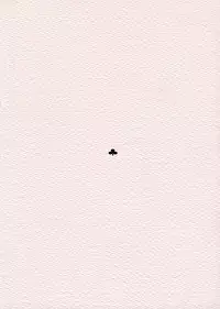 (C70) [Kansai-Orange (Arai Kei)] D.C. ~Endless Summer~ (D.C.S.S ～Da Capo Second Season～) [English]