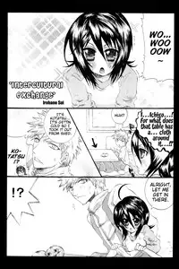 (C70) [PONCHEES (KARI) (Irohane Sui)] Rukia Kuchiki Minimum Maniax File (BLEACH) [English] [EHCOVE]