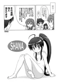 (SC38) [Brain Dead (Eiji)] N.T. no Shana wa Inran na no ka? (Shakugan no Shana)