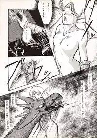 (C38) [Waku Waku Doubutsuen (Various)] Elf no Musume Kaiteiban - Die Elfische Tochter revised edition (Record of Lodoss War)