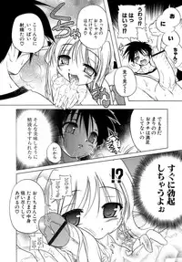 [Akazawa RED] Kupa Resort