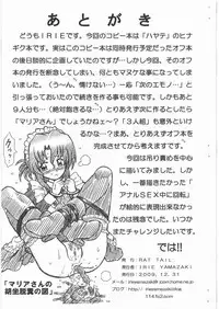 (C77) [RAT TAIL (Irie Yamazaki)] HAYATE FILE Katsura Hinagiku Gazoushuu (Hayate no Gotoku!)