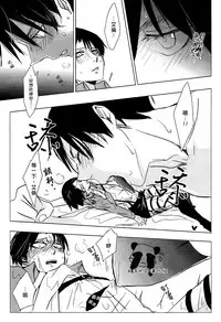 (CCOsaka97) [101MEGA (Muga)] Nyan Nyan Shitaio! 2 | 好想對你○○××!2 (Shingeki no Kyojin) [Chinese] [半透明の漢化組]