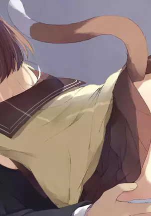 Ore no Kanojo ni wa Nekomimi ga Haeteiru