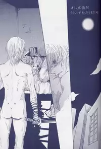 [Devil May Cry] Fragment (VergilxDante)