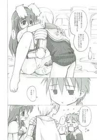 (SC23) [PARANOIA CAT (Fujiwara Shunichi)] Himitsu no Guild ni Goyoujin 1+2+α (Ragnarok Online)