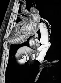 [Kondom] The New Bondage Fairies - Fairie Fetish [English Release by: Eros Comix]