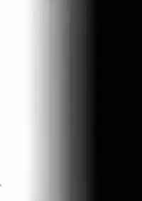 (C88) [Inaka no Yasaiya (Hubrael)] Usagi no Tane (Touhou Project)