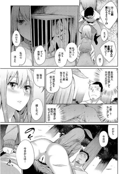 Jingai Musume-tachi no Sei Jijou