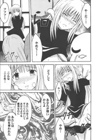 [Crimson (Carmine)] Kyouiku Soushuuhen (Black Cat)