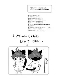 (RTS!!13) [Rototika (Kamishi Yue)] Iwachan no Neko ni Naritai 6 (Haikyuu!!)