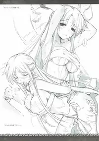 (C91) [sobaworks (Akisoba)] unRighteousness CoLLECT 1-2-3 (Ragnarok Online)