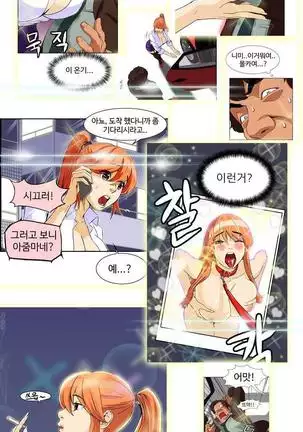 Chauffeur Service Ch.1-30.5