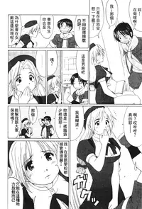 [Trochilidae] fighting queen 3 [Chiense]