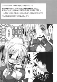 (C79) [FASTEST LAP (MIO)] Ookiku nattemo Fate ga suki desu ka? Lost Property 9 (Mahou Shoujo Lyrical Nanoha)