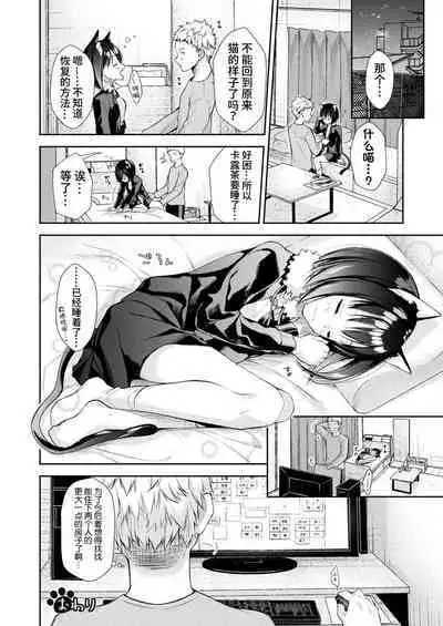 捨て猫カルツァの恩返し