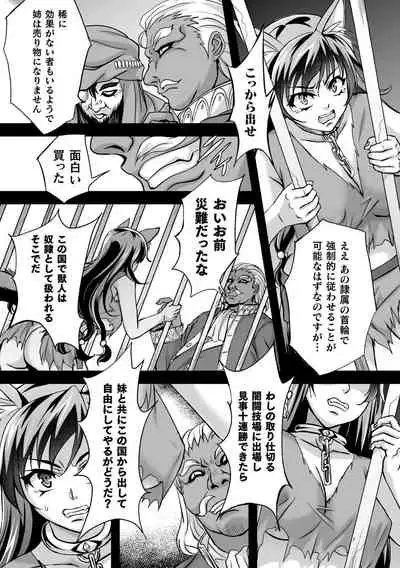 Kukkoro Heroines Vol. 8