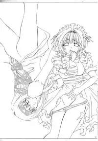 (SC25) [Red Ribbon Revenger (Various)] Kaze no Yousei 2 (Elemental Gelade) (Chinese)