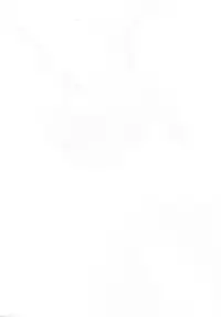 (C94) [Sakekan Memorial (SOLOPIPB)] Shiragasane -Tojinawa- [English] [TSHH]