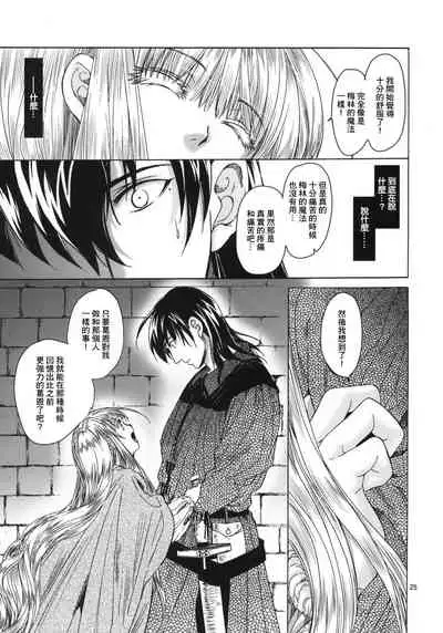 Saint Foire Festival 5