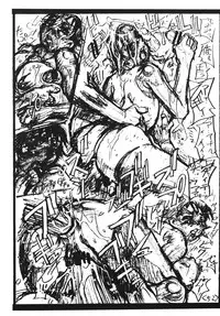 (C61) [Heisei Chachamaru Dou (N.O. Chachamaru)] Bojoku