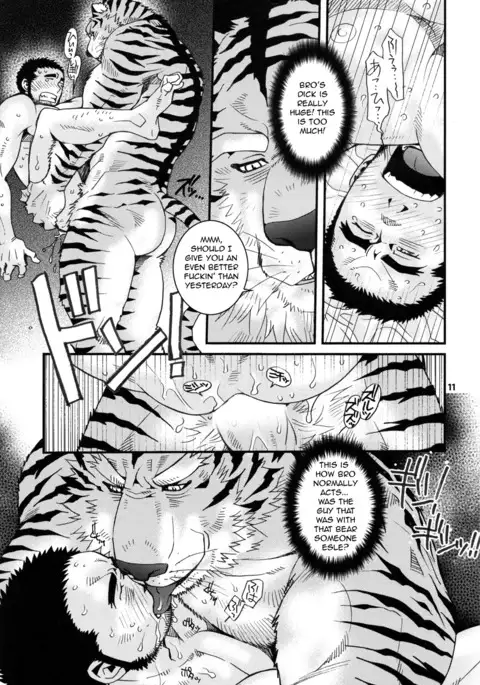 Bow Wow Meow Meow 3.5