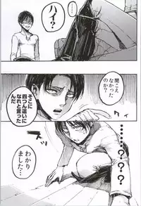 (C86) [Onjire (Tamy)] ONGRE2013 (Shingeki no Kyojin)