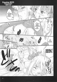 (CR37) [Shimoyakedou (Ouma Tokiichi)] Emotion RED (Fate/stay night) [English] [SaHa]