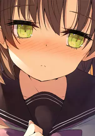 Ore no Kanojo ni wa Nekomimi ga Haeteiru