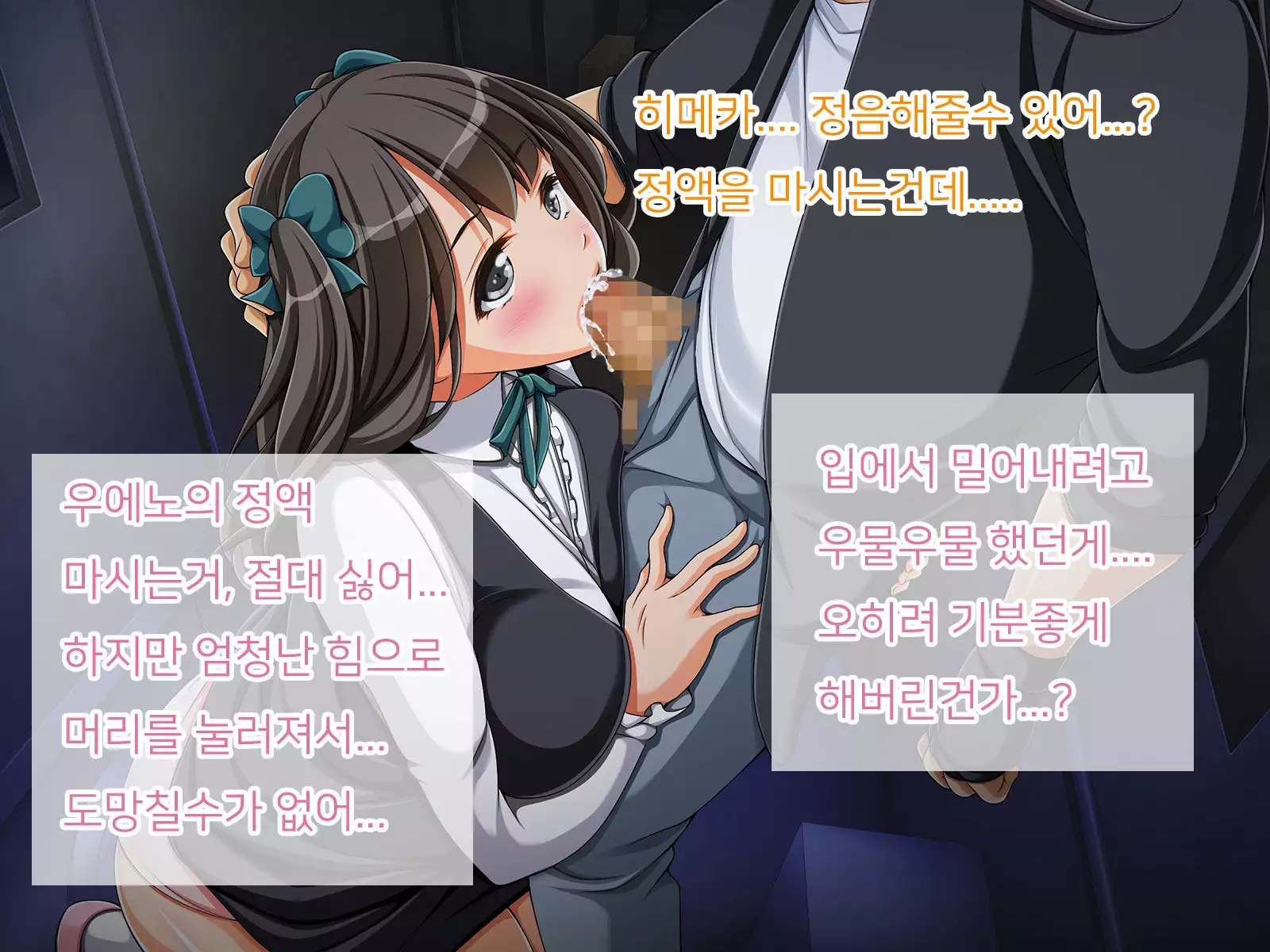 Otasano himega yarisano himeni natta riyuu