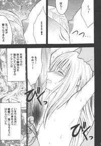 [Crimson (Carmine)] Kyouiku Soushuuhen (Black Cat)