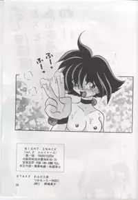 (C49) [Warudarake (Tsuka Mocchi, Waruda Kumi)] Night Snack (Slayers)