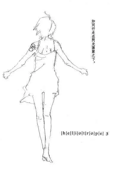 Heliotrope |日光菊