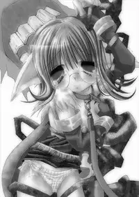 (C65) [Chocolate Banana ou Lait (Maccha Chamomo)] Damasareyasui Usagi-tachi. (Ragnarok Online)