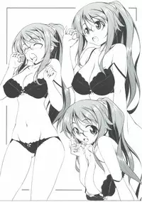 (C90) [Oremuha X (Kikuchi Tsutomu)] Usami-san wa Inranrashii (Kono Bijutsubu ni wa Mondai ga Aru!)