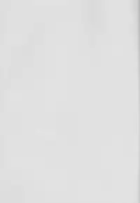 (Ou no Utsuwa Grail Oath) [Fiesole (Bekkou Megane Buchiko)] Yozora no Hoshi no Manten no shita (Fate/Grand Order) [Chinese] [脸肿汉化组]