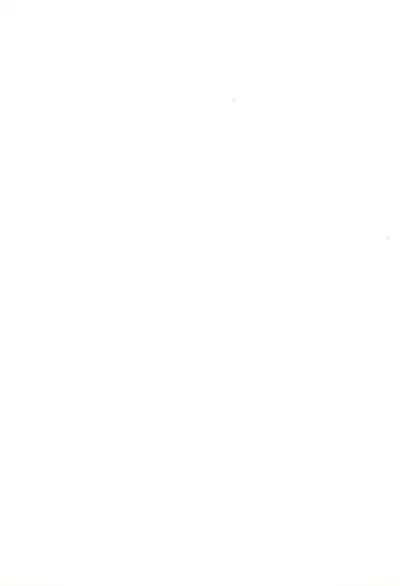 (COMITIA90) [Shimoboard (Shimosan)] Sukumizu Hiyakeato-zoku 2009