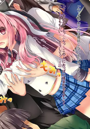 Fueromon Yakude Tairyonakadashi ~ Renzoku Tanetsuke Shasei De Seiekibote ~