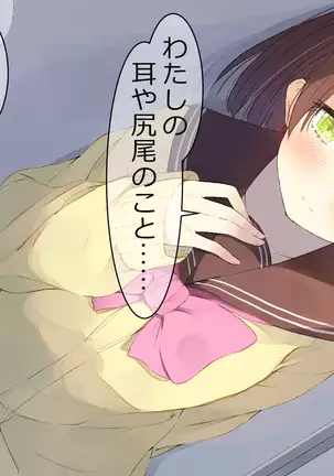 Ore no Kanojo ni wa Nekomimi ga Haeteiru