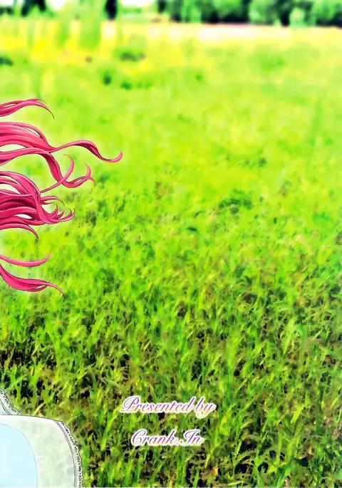 Floriography ~Viola~ =Tigoris Translates=