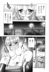 [TETRAMAX] Healthy Beans