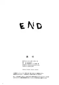 (C85) [Cyclone (Izumi, Reizei)] T-17 Cecilian-an (Infinite Stratos)