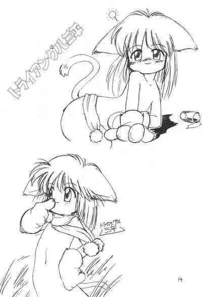 Katsuobushi COTOBA Rakugaki-bon