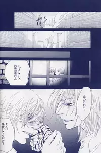 [Devil May Cry] Fragment (VergilxDante)