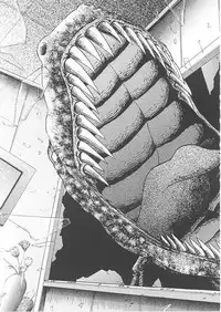 [Rikako Kugayama] Second Season (Sentimental Graffiti 2)