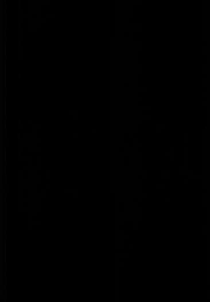 Hikawa Sayo Ryoujoku Goudoubon