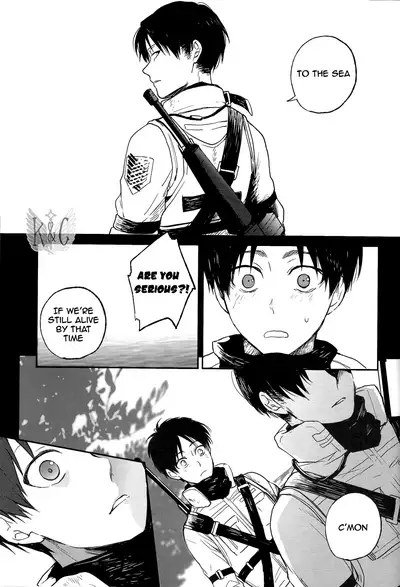 (Dai 5 Kai Hekigai Chousa Haku) [YINGHUA (sinba)] Distances (Shingeki no Kyojin) [English] [Wings of K&C]