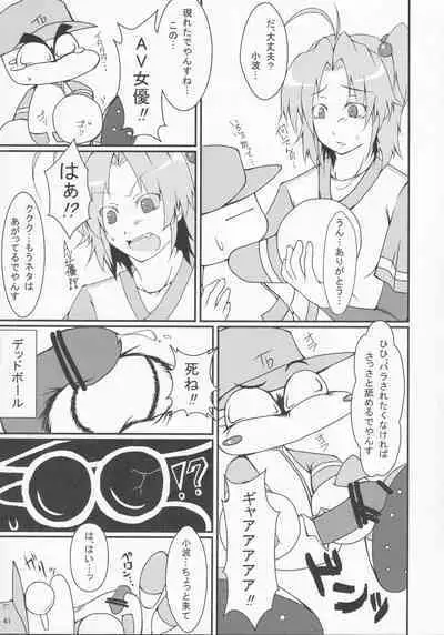 Pawaplus H 2012 Fuyu