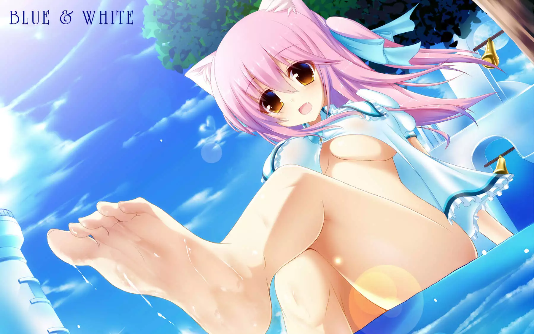 My Cat & Biscuit Vol.1